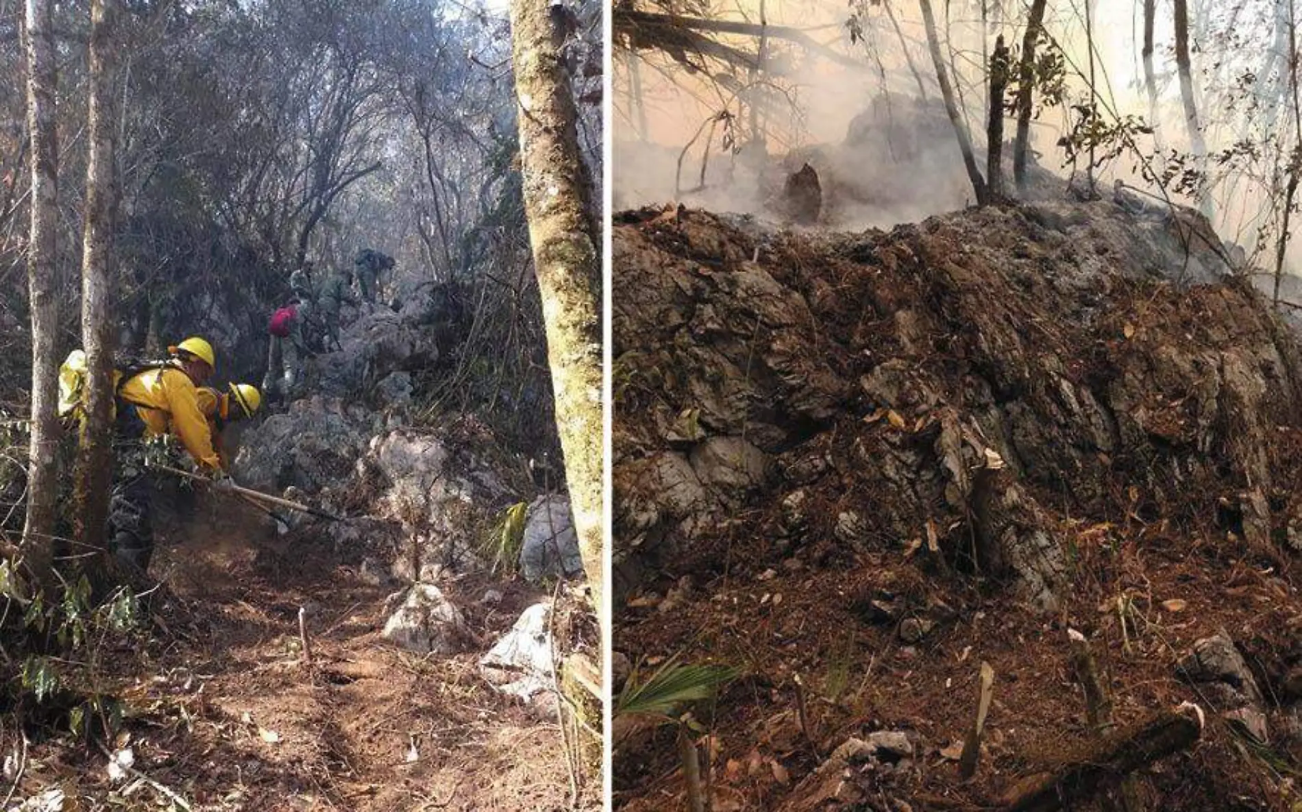 Ya han sido afectadas más de 5 mil hectáreas en la biosfera “El Cielo”